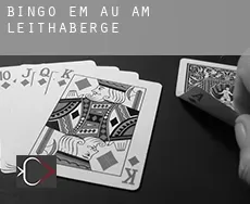 Bingo em Au am Leithaberge
