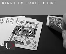 Bingo em  Hares Court