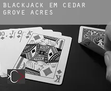 Blackjack em  Cedar Grove Acres