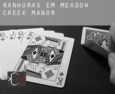 Ranhuras em  Meadow Creek Manor