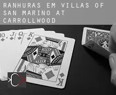 Ranhuras em  Villas of San Marino at Carrollwood
