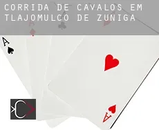 Corrida de cavalos em Tlajomulco de Zuniga