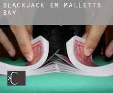 Blackjack em Malletts Bay