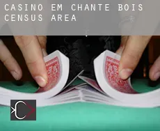 Casino em  Chante-Bois (census area)