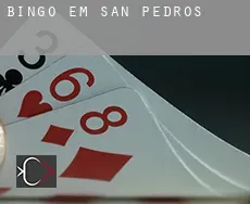 Bingo em  San Pedros