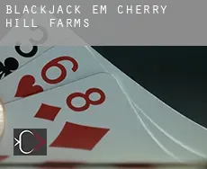 Blackjack em  Cherry Hill Farms