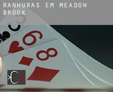 Ranhuras em Meadow Brook