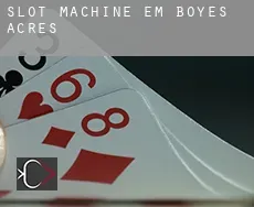 Slot machine em  Boyes Acres
