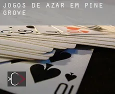 Jogos de azar em  Pine Grove