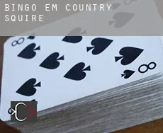 Bingo em  Country Squire