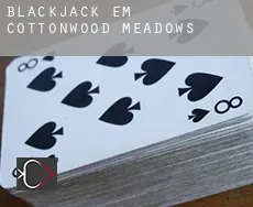 Blackjack em  Cottonwood Meadows