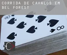 Corrida de cavalos em Bel Forest