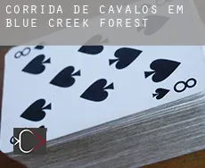 Corrida de cavalos em Blue Creek Forest