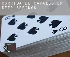 Corrida de cavalos em  Deep Springs