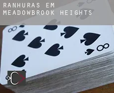 Ranhuras em Meadowbrook Heights