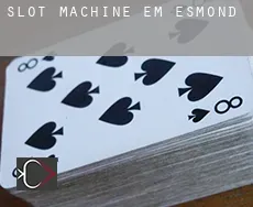 Slot machine em  Esmond