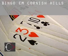 Bingo em  Cornish Hills