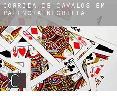 Corrida de cavalos em Palencia de Negrilla