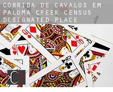 Corrida de cavalos em  Paloma Creek