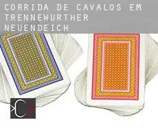 Corrida de cavalos em  Trennewurther Neuendeich