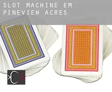 Slot machine em  Pineview Acres