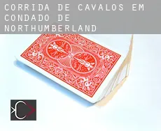Corrida de cavalos em Condado de Northumberland