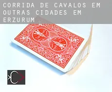 Corrida de cavalos em  Outras cidades em Erzurum
