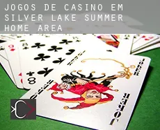 Jogos de casino em  Silver Lake Summer Home Area