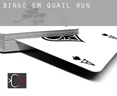 Bingo em  Quail Run