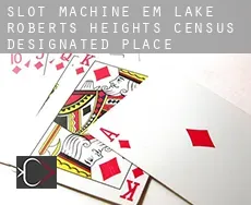 Slot machine em  Lake Roberts Heights