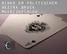 Bingo em  Politischer Bezirk Bruck-Muerzzuschlag