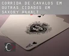 Corrida de cavalos em  Outras cidades em Saxony-Anhalt