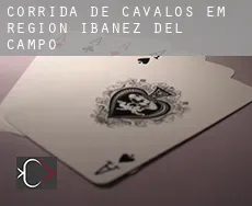 Corrida de cavalos em  Aisén