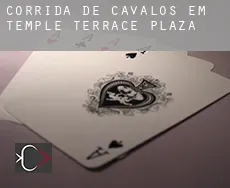 Corrida de cavalos em Temple Terrace Plaza