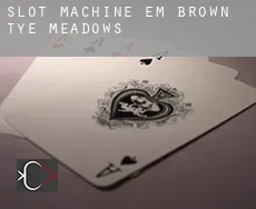 Slot machine em  Brown-Tye Meadows