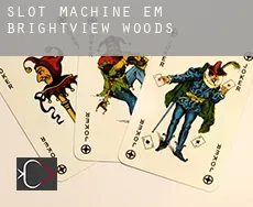 Slot machine em  Brightview Woods