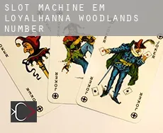 Slot machine em Loyalhanna Woodlands Number 2