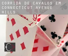 Corrida de cavalos em Connecticut Avenue Hills