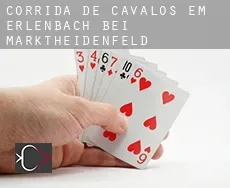 Corrida de cavalos em Erlenbach bei Marktheidenfeld