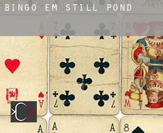 Bingo em  Still Pond