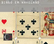 Bingo em  Waveland