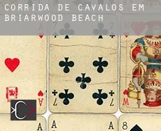 Corrida de cavalos em Briarwood Beach