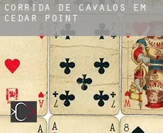 Corrida de cavalos em  Cedar Point
