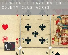 Corrida de cavalos em  County Club Acres