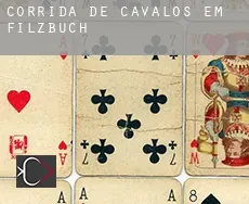Corrida de cavalos em Filzbuch