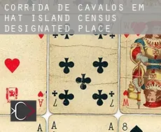 Corrida de cavalos em  Hat Island