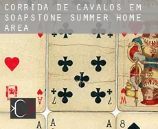 Corrida de cavalos em Soapstone Summer Home Area
