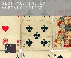 Slot machine em Aspealy Bridge