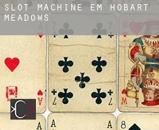 Slot machine em Hobart Meadows