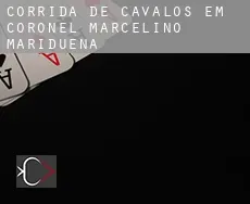Corrida de cavalos em Coronel Marcelino Maridueña
